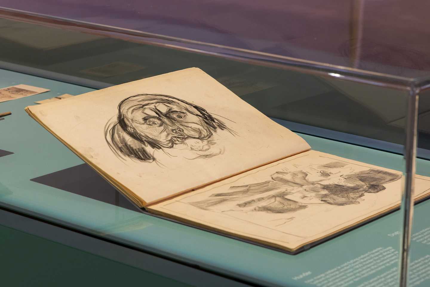 Close-up of one of Edvard Munch’s sketchbooks in which he has drawn an angry dog. Photograph.