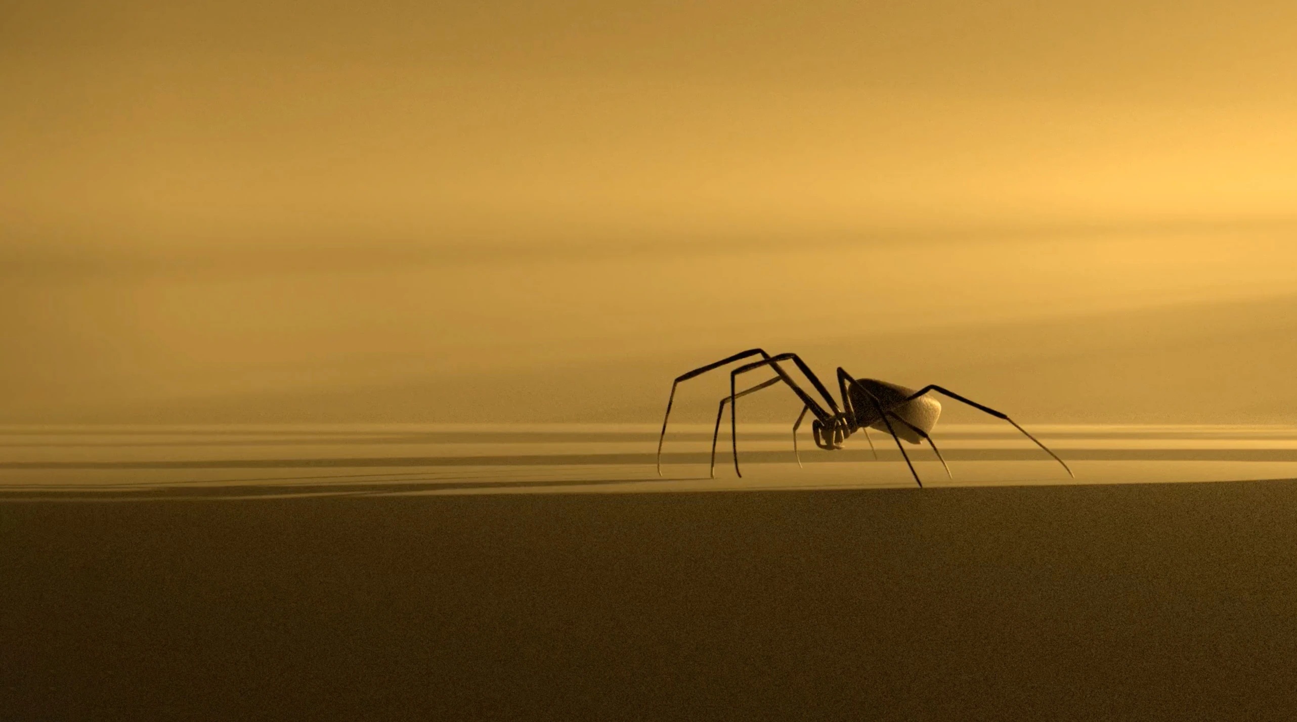 A metal spider inside a room where the light comes in from the right side. Gold-coloured background. Photograph.