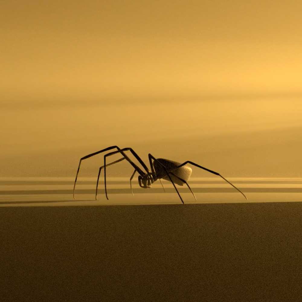 A metal spider inside a room where the light comes in from the right side. Gold-coloured background. Photograph.