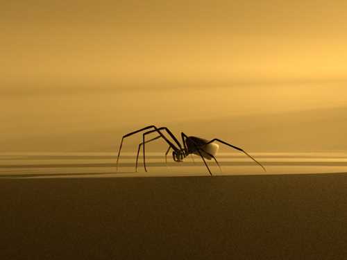 A metal spider inside a room where the light comes in from the right side. Gold-coloured background. Photograph.
